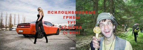 ПСИЛОЦИБИНОВЫЕ ГРИБЫ Нефтегорск
