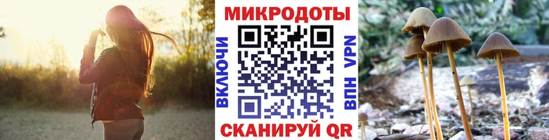 мега рабочий сайт  Бавлы  Галлюциногенные грибы мицелий  сайты даркнета телеграм  где продают  